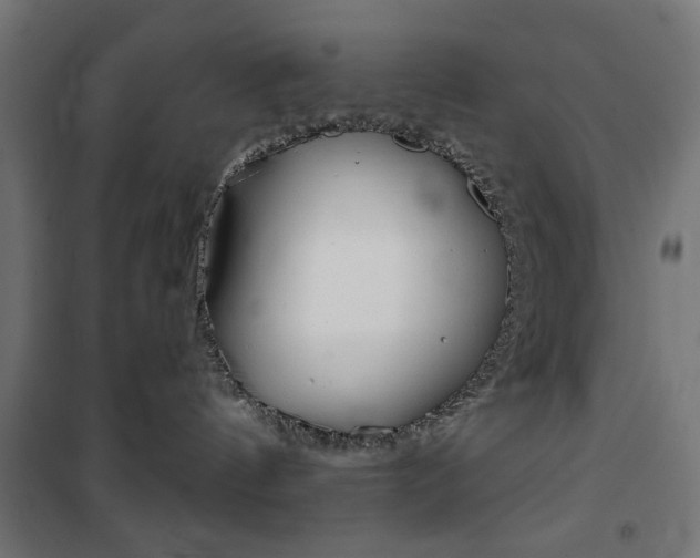 X0000101470144200807071227