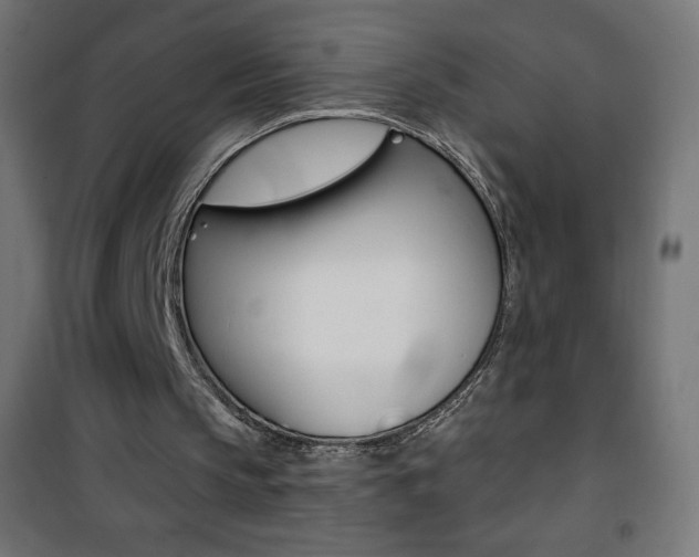 X0000101470145200807071227