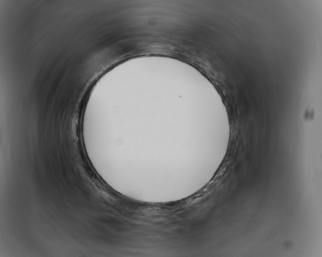 X0000101470146200807071227