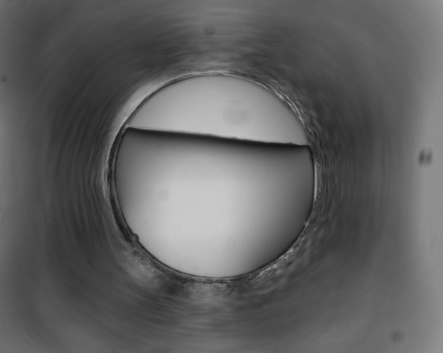 X0000101470147200807071227