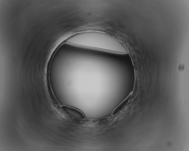 X0000101470148200807071227
