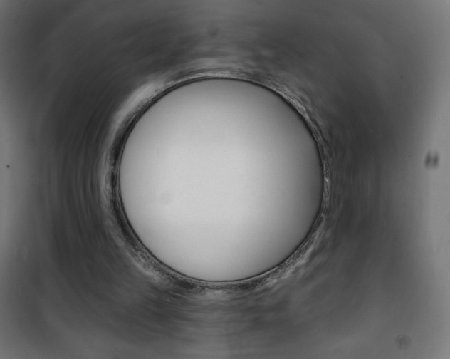 X0000101470149200807071227