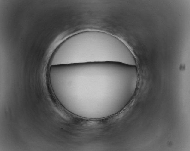 X0000101470151200807071227