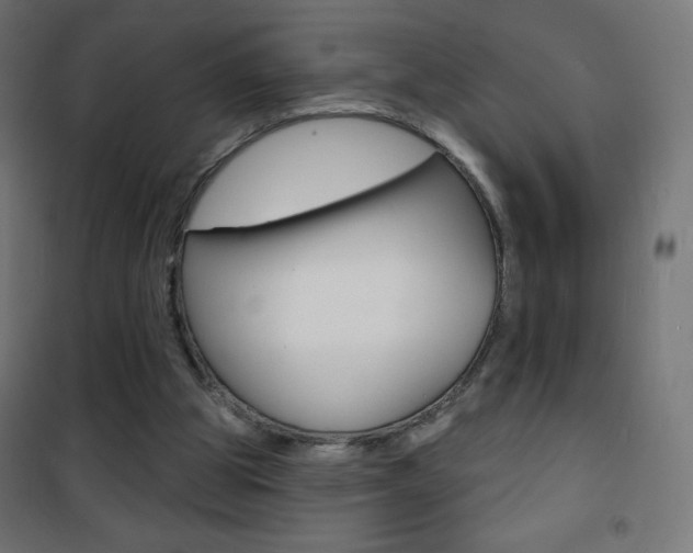 X0000101470153200807071227