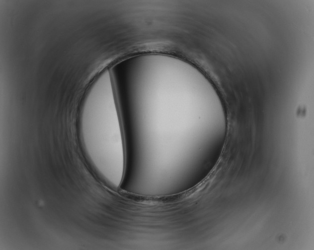 X0000101470154200807071227