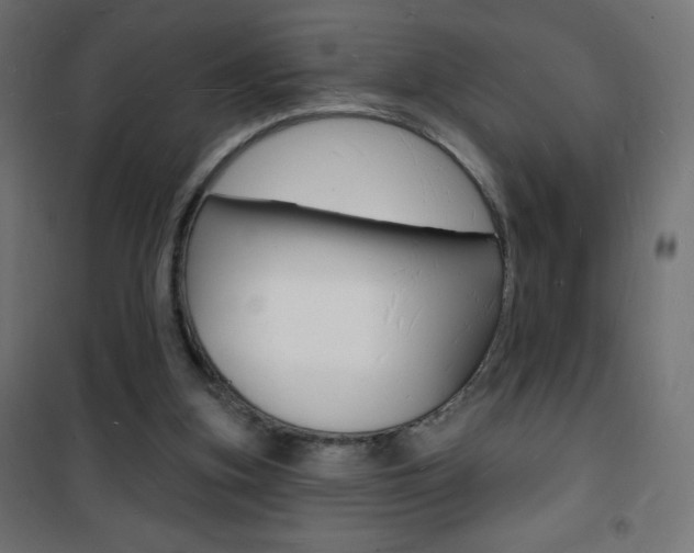 X0000101470155200807071227