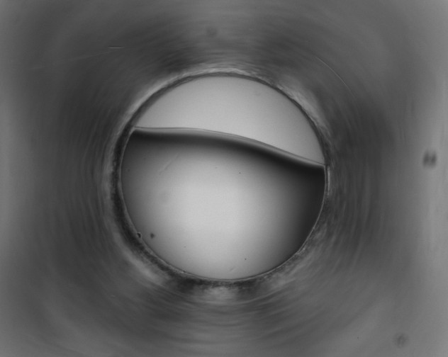 X0000101470156200807071227