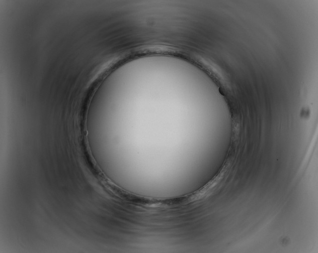 X0000101470158200807071227