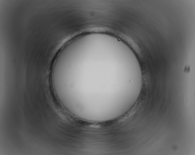 X0000101470159200807071227