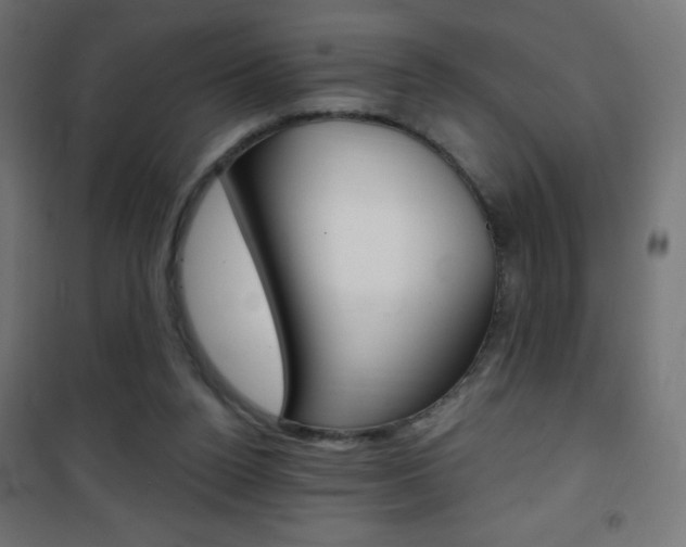 X0000101470160200807071227