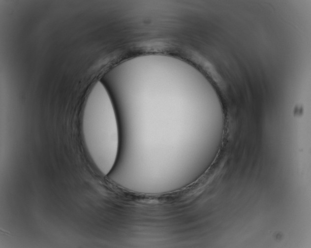 X0000101470161200807071227