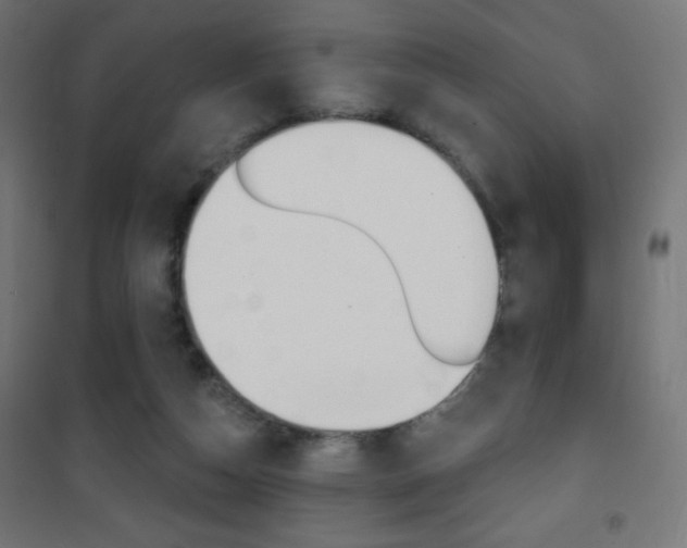 X0000101470162200807071227