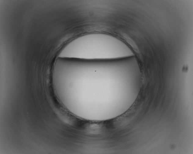 X0000101470163200807071227