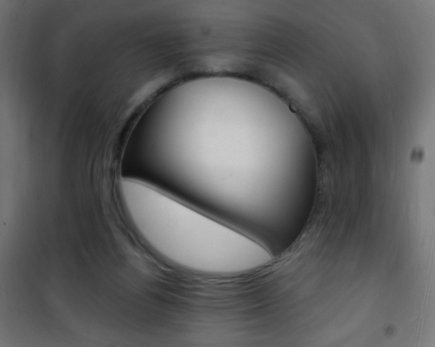 X0000101470164200807071227