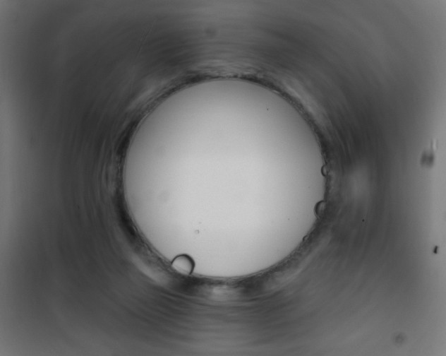 X0000101470165200807071227