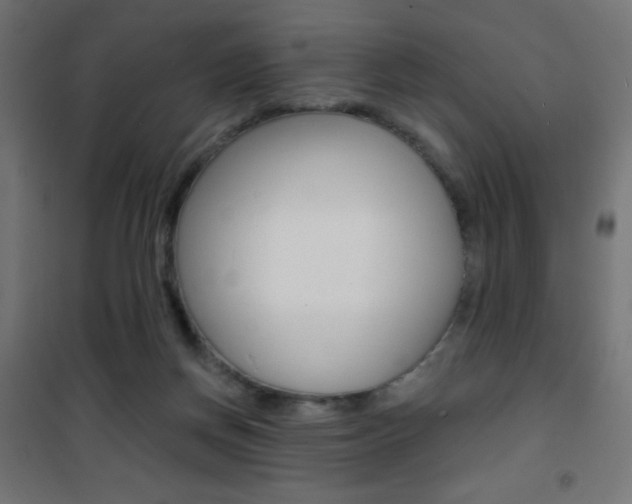 X0000101470166200807071227