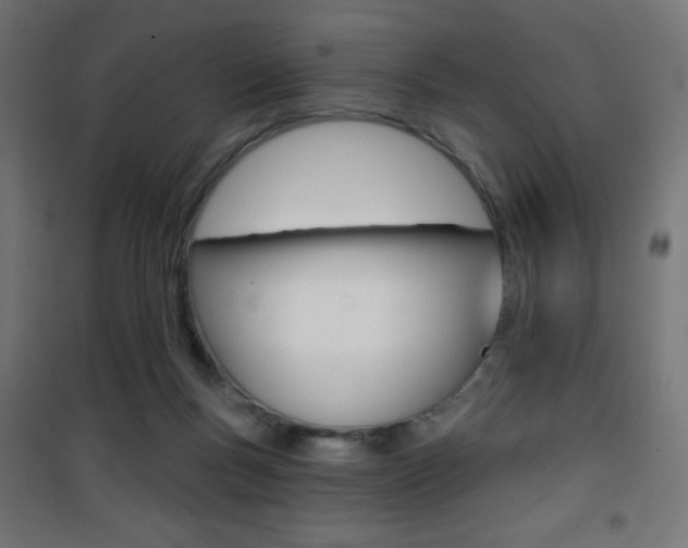 X0000101470167200807071227