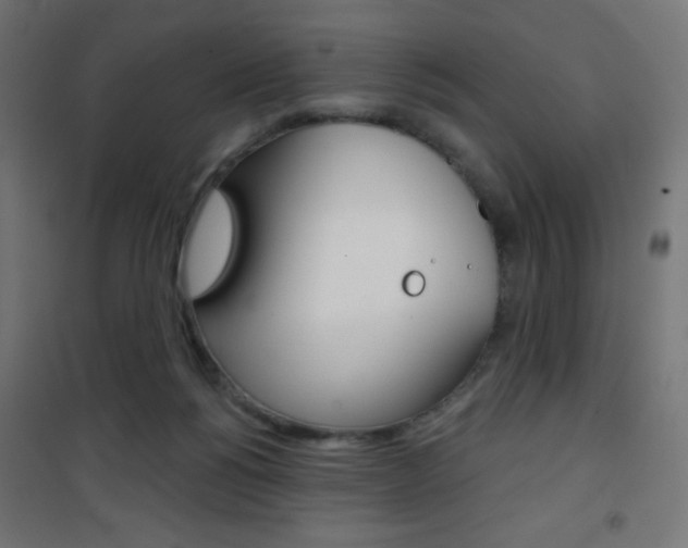 X0000101470168200807071227