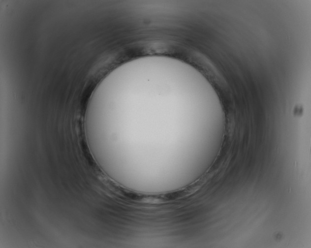 X0000101470169200807071227