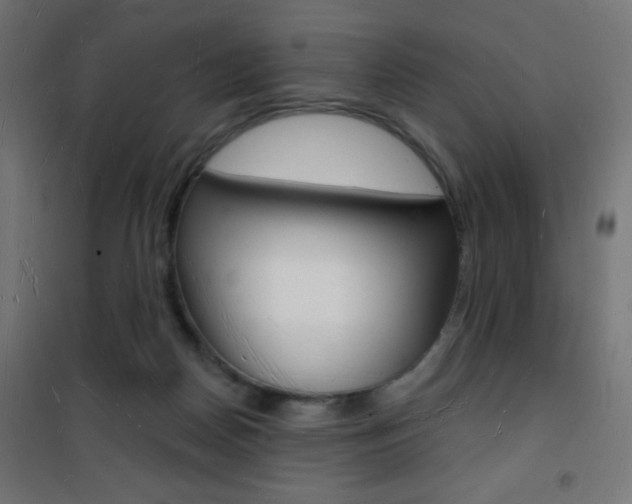 X0000101470170200807071227