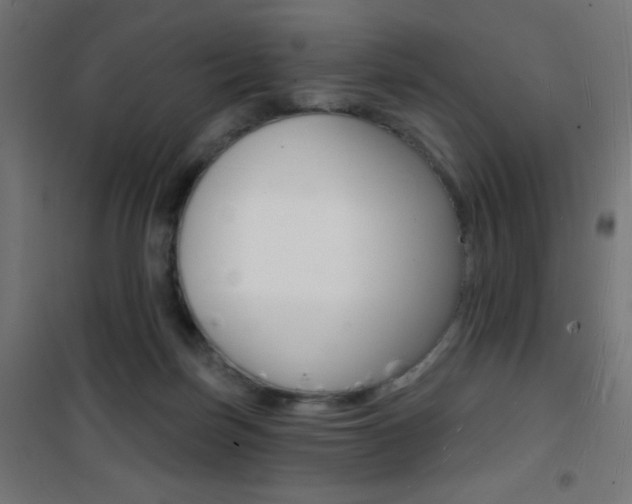 X0000101470171200807071227