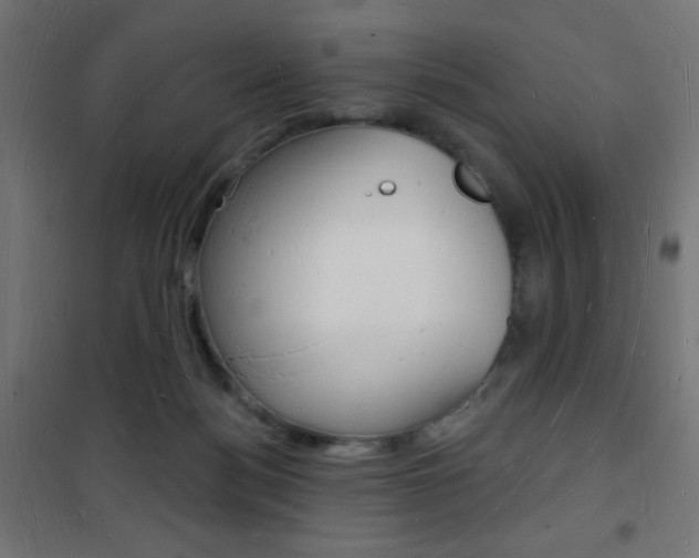 X0000101470172200807071227
