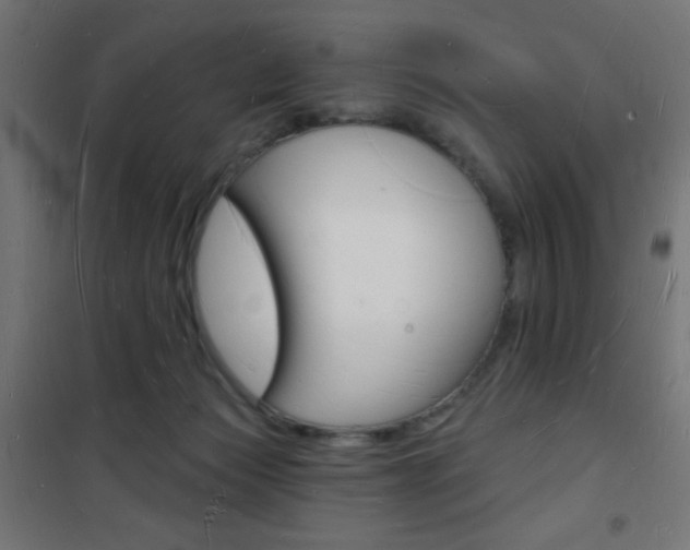 X0000101470173200807071227