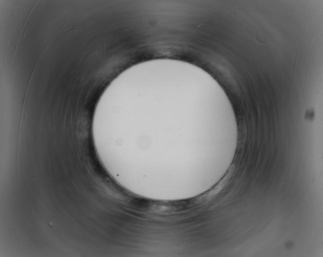 X0000101470174200807071227