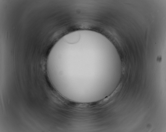 X0000101470175200807071227