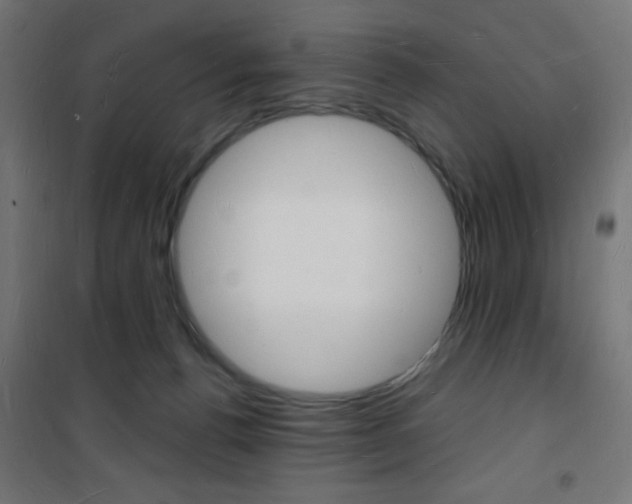 X0000101470176200807071227