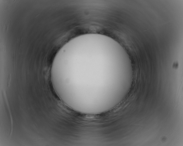 X0000101470177200807071227
