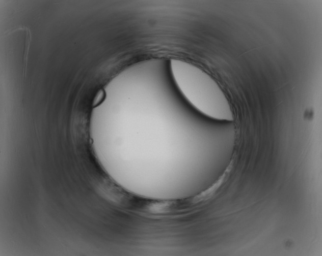 X0000101470178200807071227