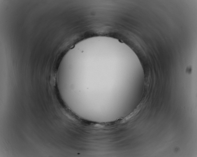 X0000101470180200807071227