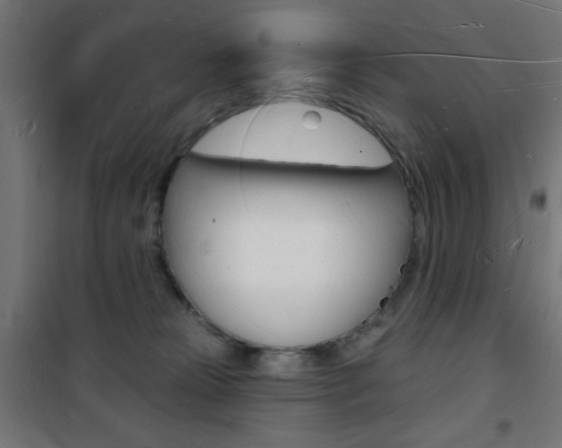 X0000101470181200807071227