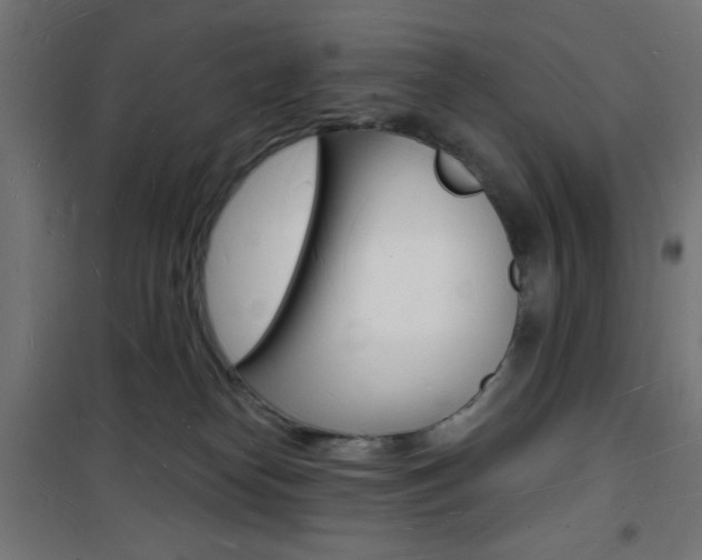 X0000101470182200807071227
