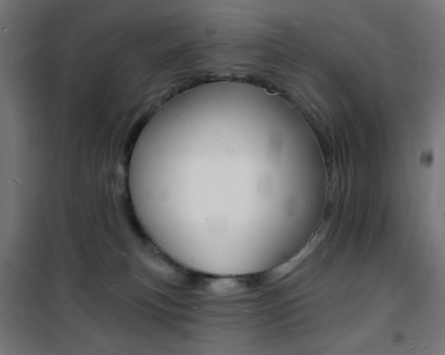X0000101470183200807071227