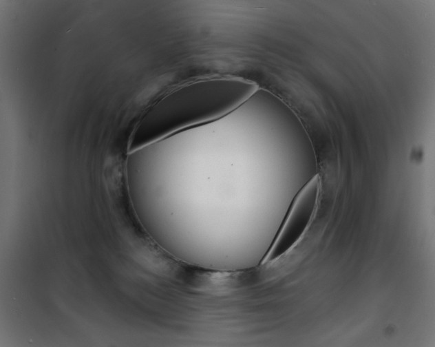 X0000101470184200807071227