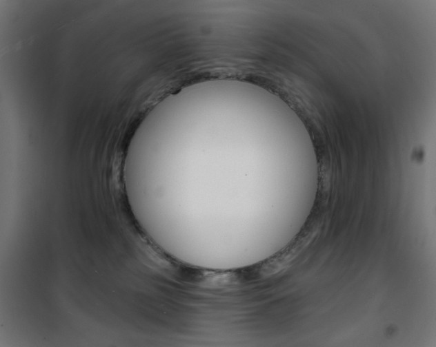X0000101470185200807071227