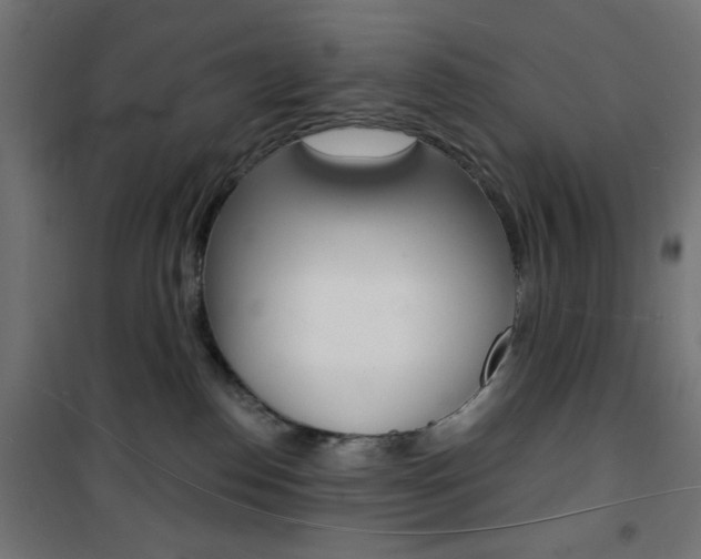 X0000101470186200807071227