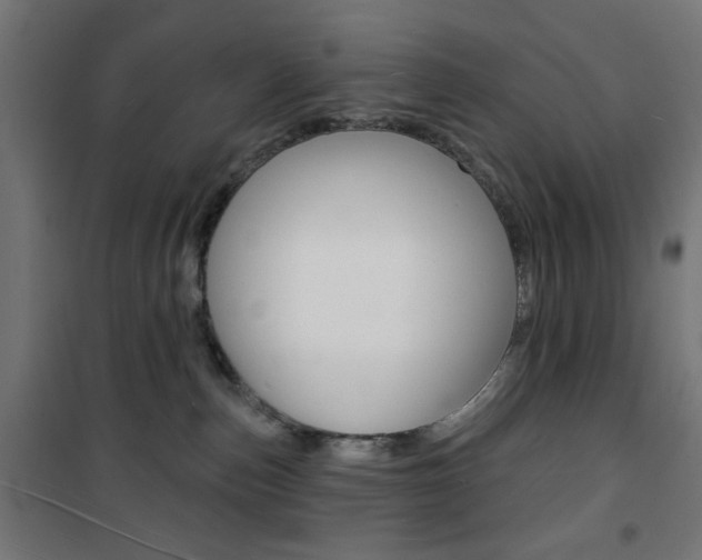 X0000101470187200807071227