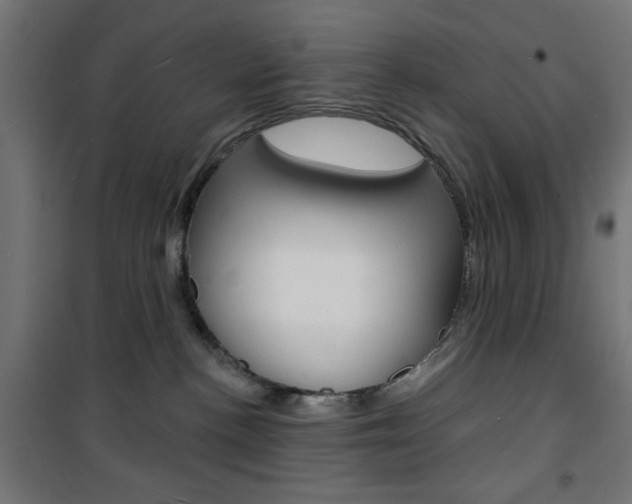 X0000101470188200807071227