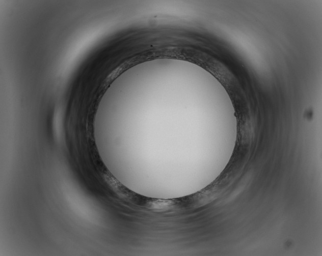 X0000101470189200807071227
