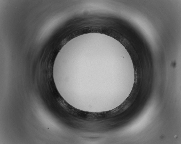 X0000101470190200807071227