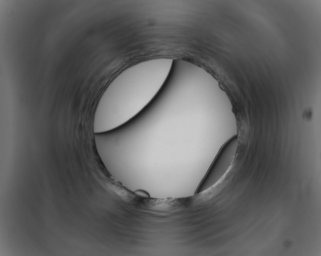 X0000101470191200807071227