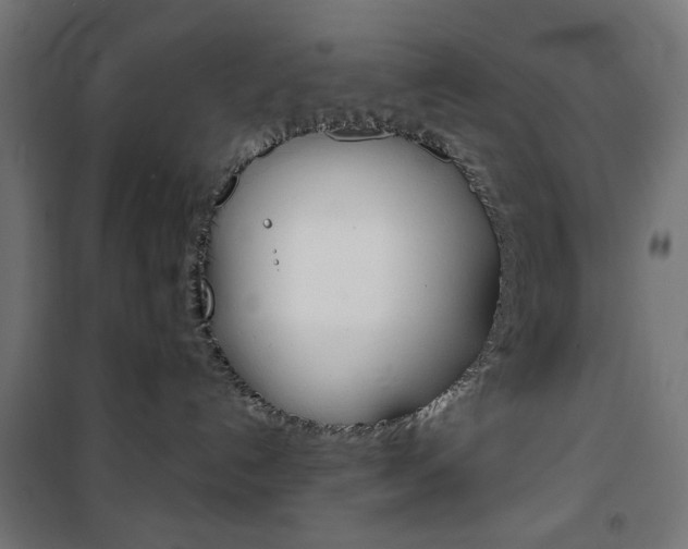 X0000101470192200807071227