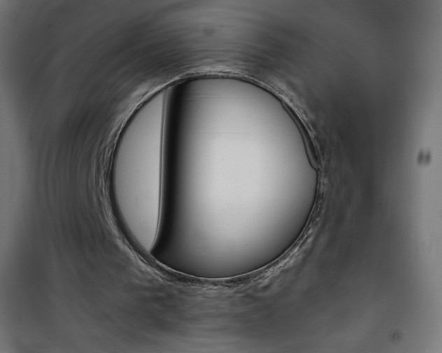X0000101470193200807071227