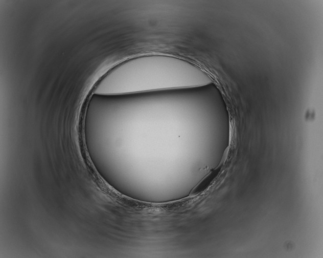 X0000101470195200807071227