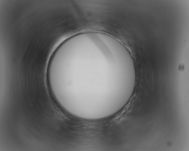 X0000101470196200807071227