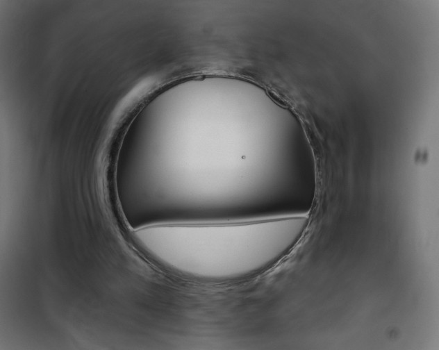 X0000101470197200807071227