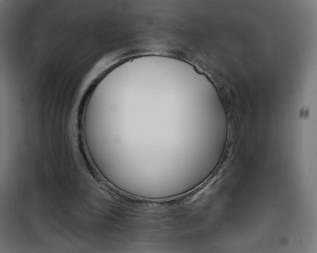 X0000101470198200807071227